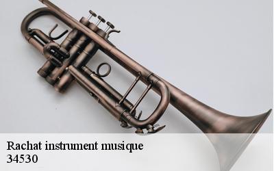 Rachat instrument musique  34530