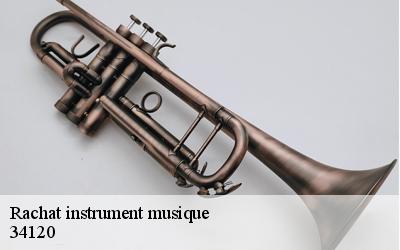 Rachat instrument musique  34120